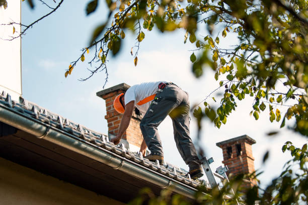 Best Sealant for Roof  in Lake Hallie, WI