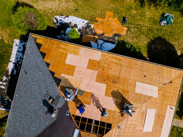 Best Gutter Installation and Roofing  in Lake Hallie, WI
